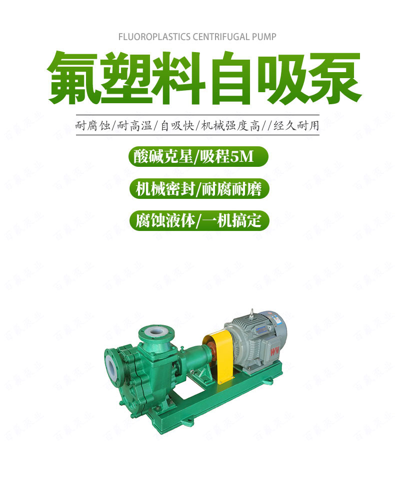 FZB型氟塑料自吸（xī）泵(圖1)