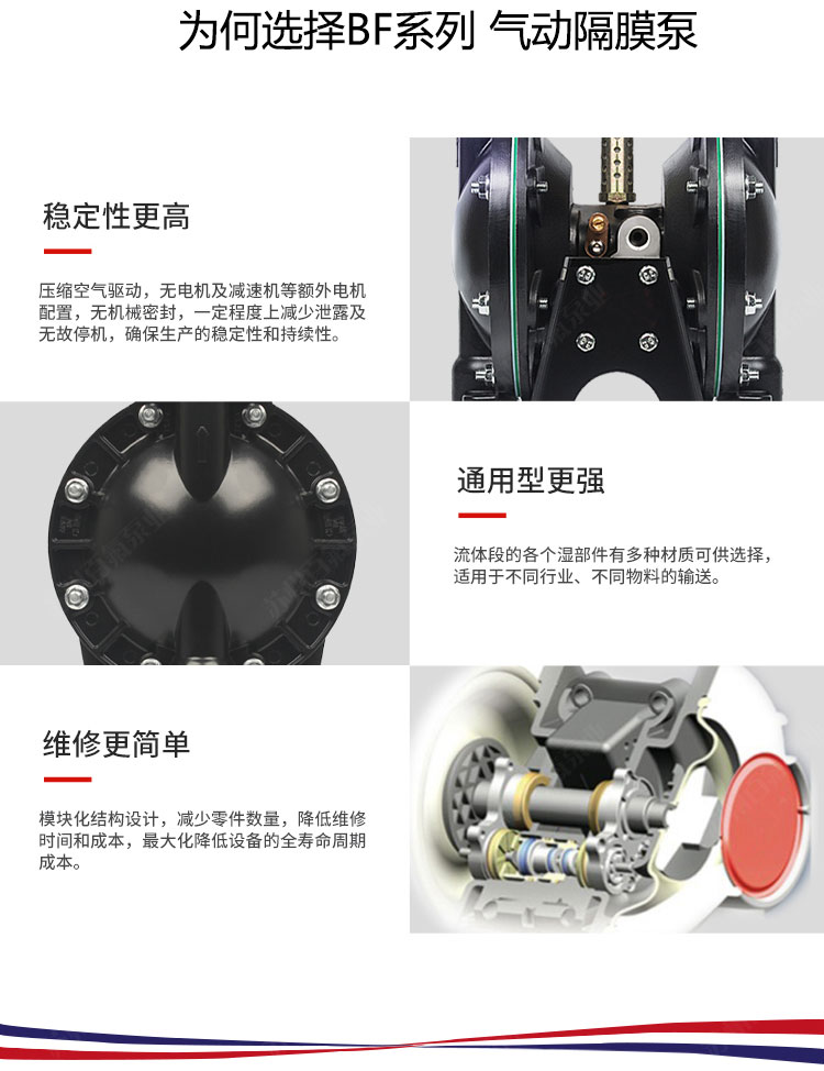 BF型大流量氣動隔膜（mó）泵(圖4)